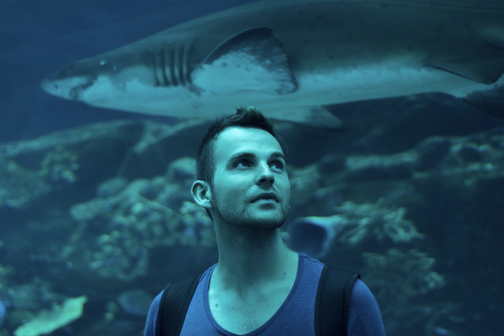 Tropicarium Park di Jesolo: un