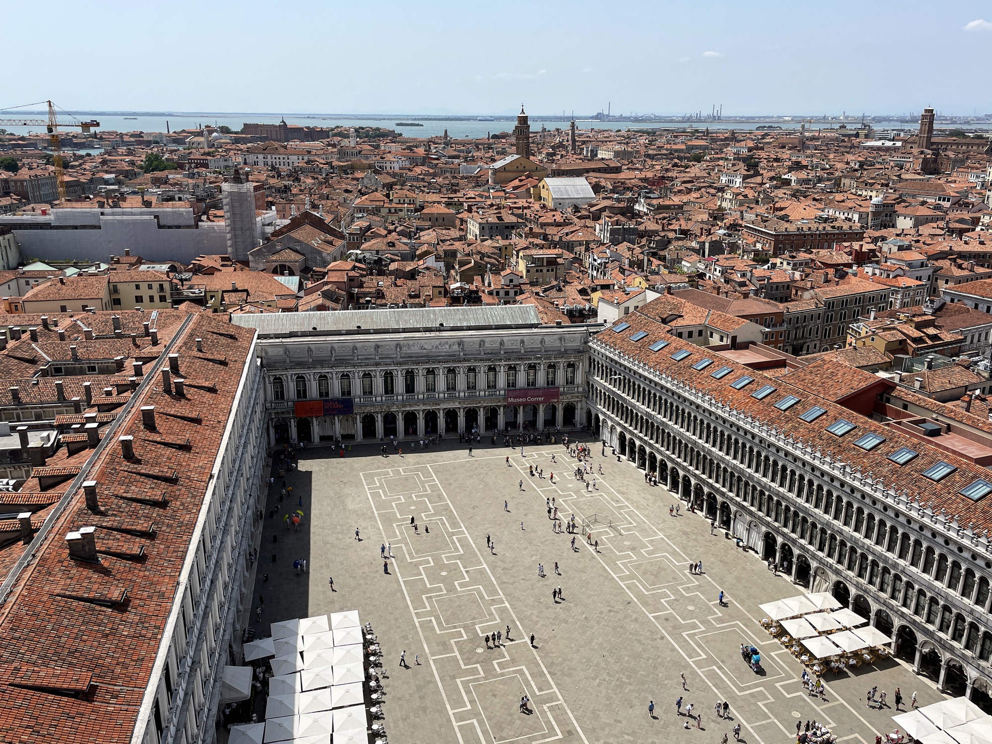 Museo Correr di Venezia: 1600 anni di storia