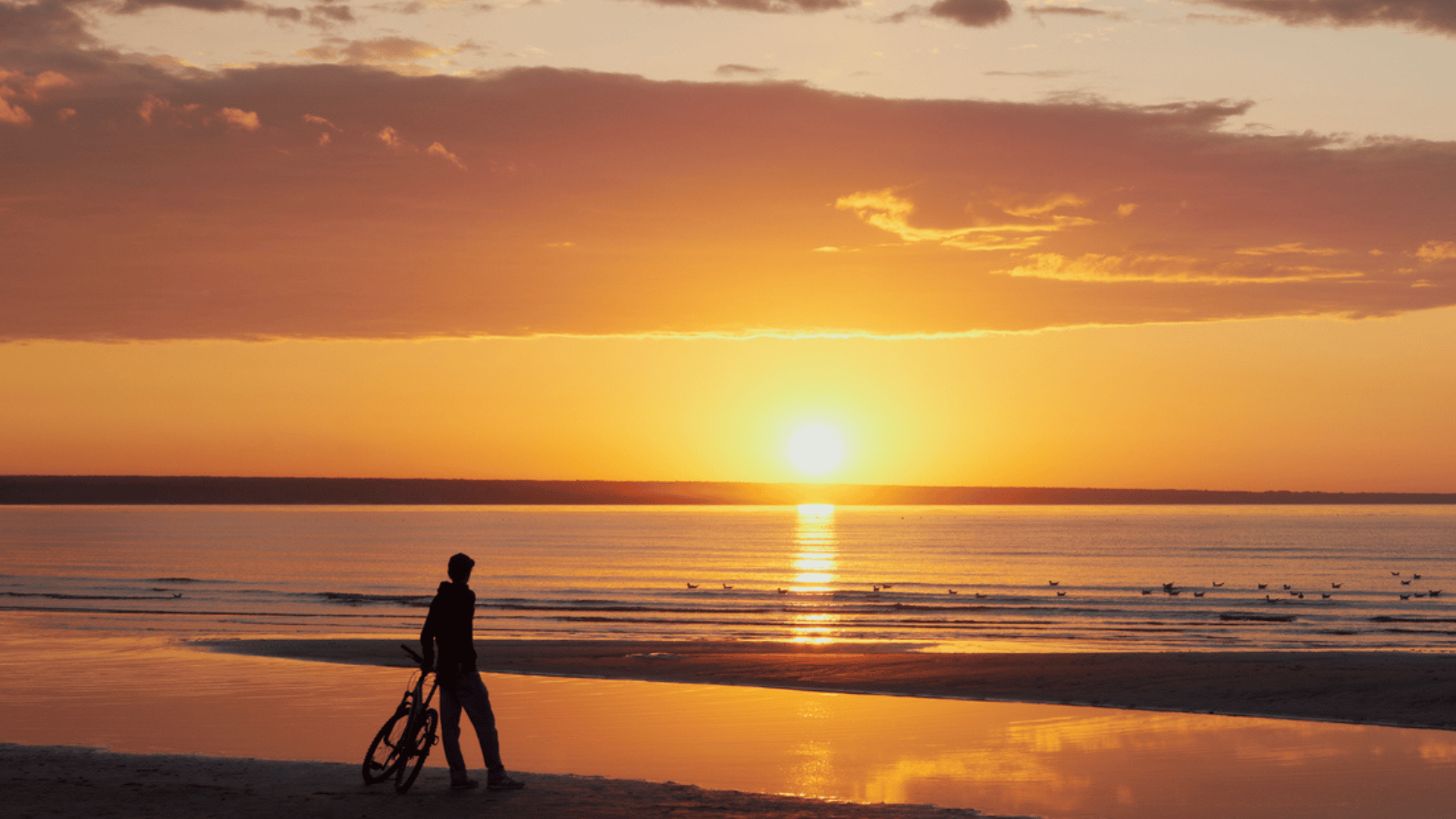Jesolo Sunset Lagoon & Full Moon Ride: una pedalata tra tramonto, laguna e luna piena
