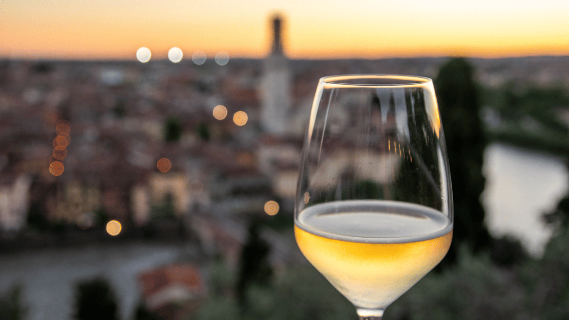 Vini veneti tipici da provare: degustazioni nella regione